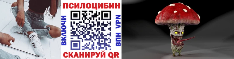Псилоцибиновые грибы Cubensis  mega зеркало  Новодвинск 
